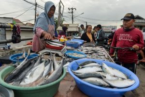 Pasar Ikan Karangantu: Libur Akhir Tahun, Stok Aman!