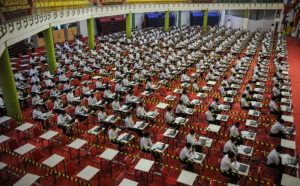 Nasib Honorer TMS PPPK 2024: Masih Ada Harapan!