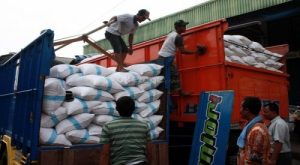 Swasembada Pangan 2025? RI Berani Tantang Impor!