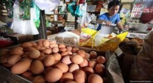 Harga Telur Melejit di Awal 2025!
