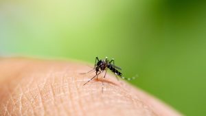 KLB Nias Selatan Diperpanjang!  Malaria & DBD Membandel?