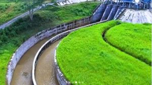 Rahasia Pertanian Indonesia Makin Subur!