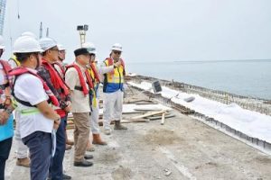 Patimban Makin Canggih!  Progres Pembangunannya Bikin Melongo!