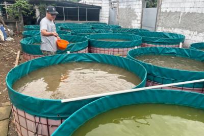 Dari Lensa Kamera ke Kolam Lele: Kisah Sukses Tak Terduga!