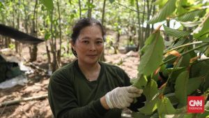 60% Warga RI Miskin? Pakar Ekonomi Bongkar Fakta Mengejutkan!