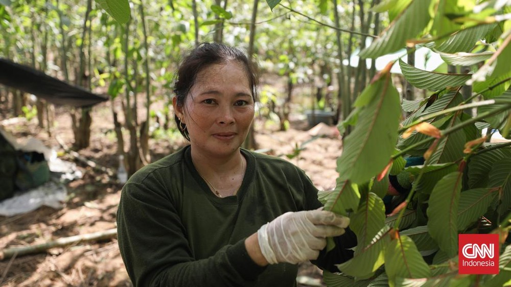 60% Warga RI Miskin? Pakar Ekonomi Bongkar Fakta Mengejutkan!