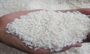 Bantuan Beras Jumbo! Jutaan Warga Dapat Jatah Ini