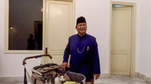 Heboh! Bobby, Kucing Kesayangan Prabowo, Dapat Pengawalan Ketat!