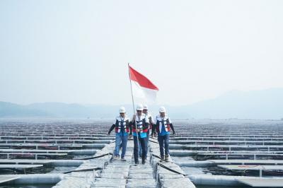 Rahasia Sukses BRI: Raih Penghargaan ESG!