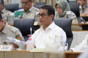 Heboh! Mentan Bongkar Rahasia di Balik Isu Kelangkaan Beras!