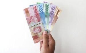 Intip! 8 Profesi Bergaji Sultan di Indonesia, Tertarik?