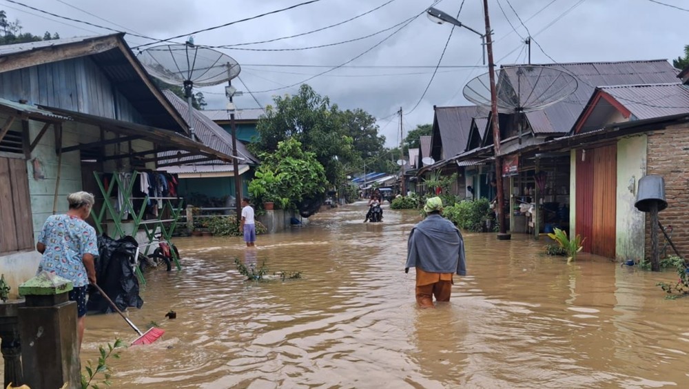 8 Perusahaan Diduga Jadi Biang Kerok Banjir Sumut?