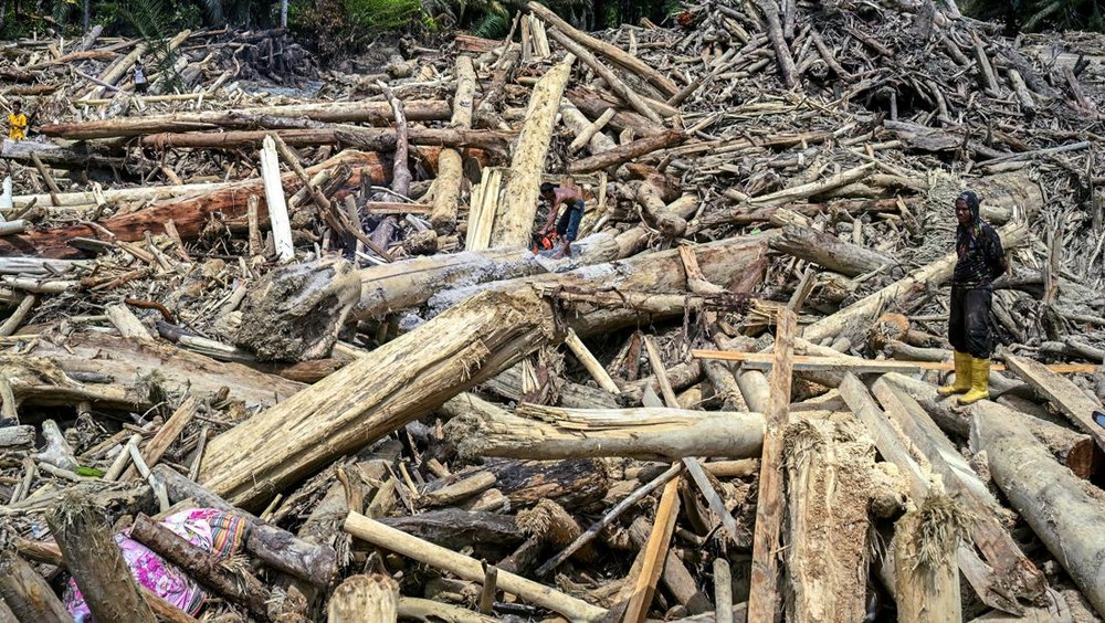 Kayu Gelondongan Banjir Sumatra: Polisiendus Kejahatan Ilegal Logging?