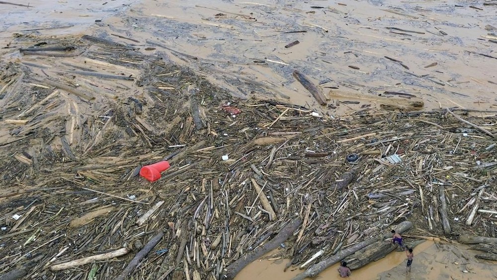 Heboh Kayu Terdampar di Pesisir Barat: Ini Fakta Mengejutkan!