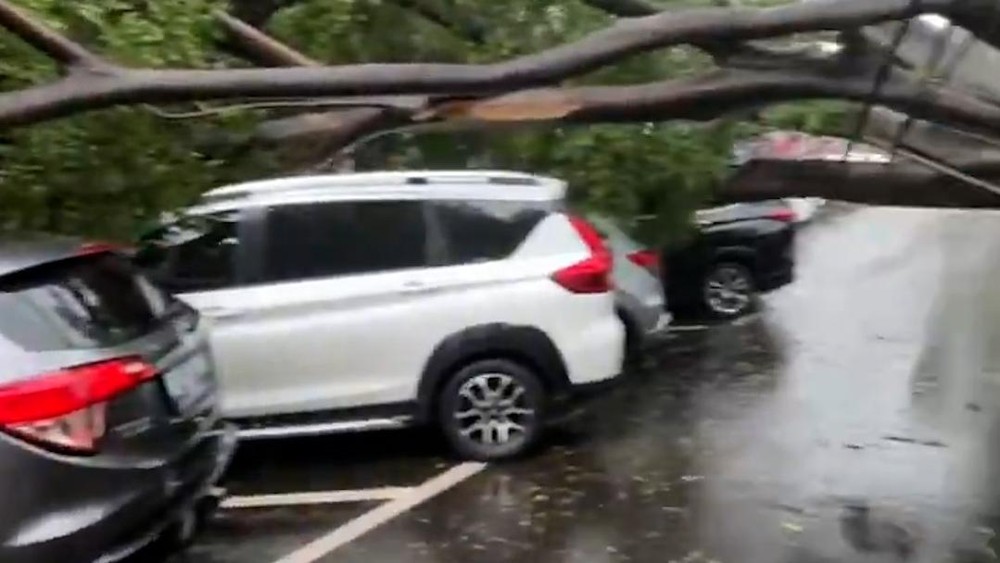 Jakarta Lumpuh! Hujan Badai Robohkan Pohon, 6 Mobil Ringsek