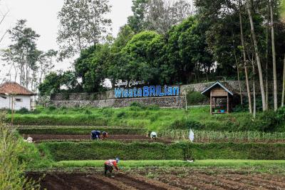 BRI Genjot Ekonomi 5.000 Desa, Raih Penghargaan!