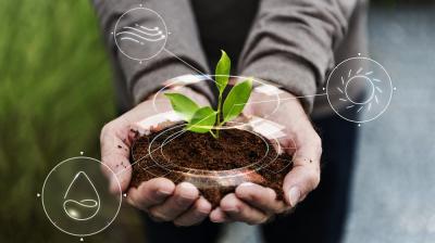 Listrik Hijau Laris Manis, Penjualan PLN Meroket!
