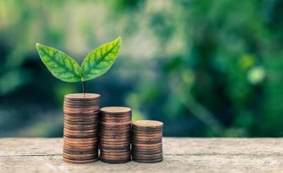 Geger! OJK Resmikan Asuransi Kredit Pinjol, Wajib Tahu!