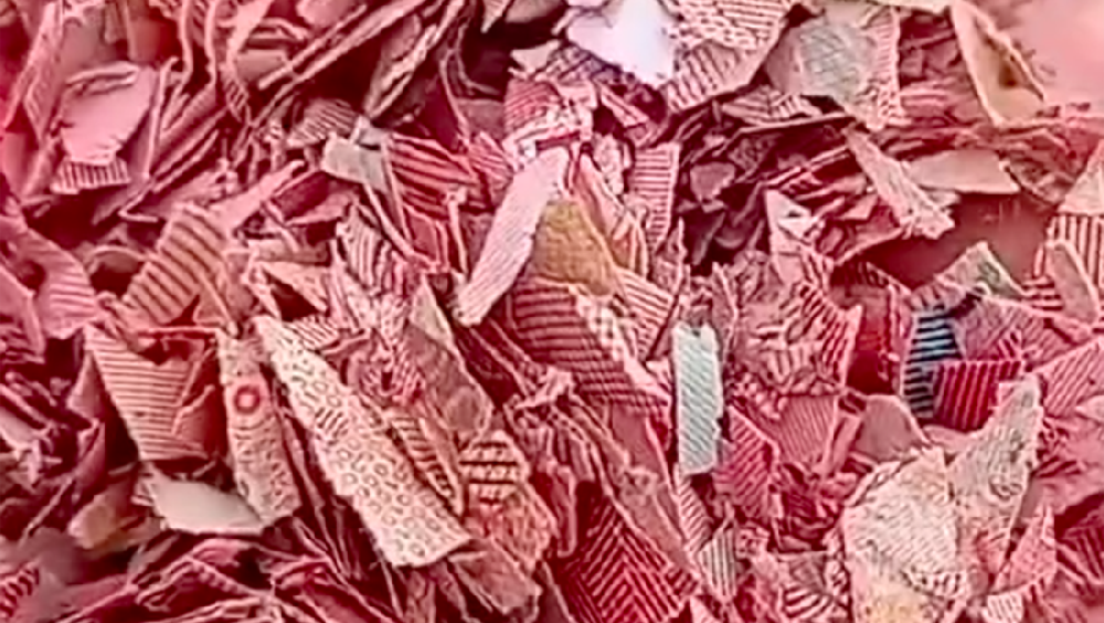 Terungkap! Miliaran Rupiah BI Nyasar ke TPS Liar Bekasi