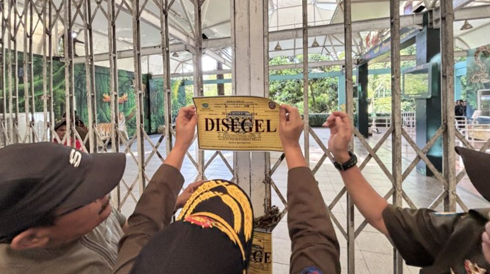 KEJUTAN! Kemenhut Cabut Izin Bandung Zoo, Nasib Satwa Terjamin?