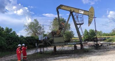 Sumur Gemah-81: RI Makin Kuat, Pasokan Energi Terjamin!