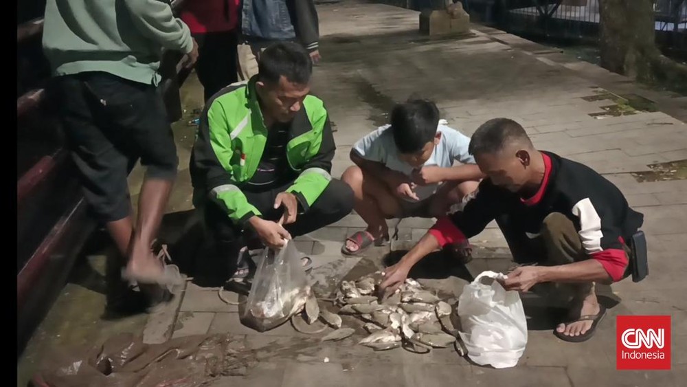 Warga Nekat Jaring Ikan Mabuk Kimia, Demi Perut?