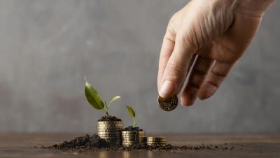 Terungkap! Jurus Ampuh UMKM Pesisir RI Kuasai Pasar!