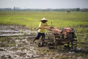 Revolusi Hijau! B50 Siap Gempur Alsintan RI?