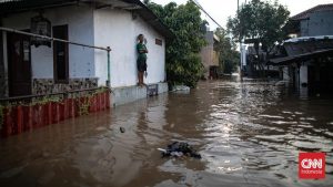 Jakarta Lumpuh! Ciliwung Mengamuk, Puluhan RT Terendam!
