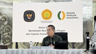 Indonesia Aman! Stok 9 Pangan Utama Melimpah Ruah!