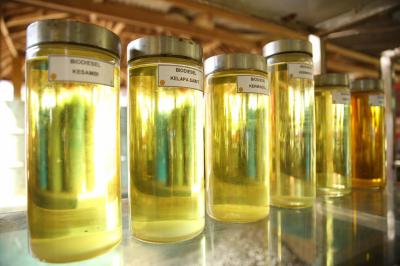 Terungkap! RI Setop Impor Solar 2026, Ini Penggantinya