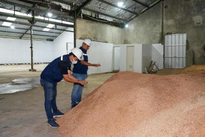 Terungkap! Sampah RI Kunci Ketahanan Energi Masa Depan