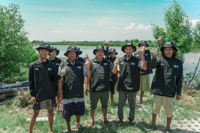 Aksi Heroik! BRI Tanam 500 Mangrove, Pesisir Bekasi Aman?