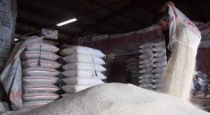 Stok Beras RI Meledak! Rekor 5 Juta Ton, Aman 6 Bulan!