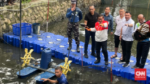 Jakarta Geger! Perang Total Basmi Ikan Sapu-Sapu!