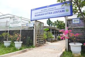 Lahan Tidur Jakarta Jadi Kebun Produktif, Warga Panen!