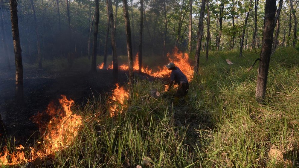 Bangka Tengah Membara! 118 Hektare Lahan Ludes Dilalap Api 1 Bangka Tengah Membara! 118 Hektare Lahan Ludes Dilalap Api