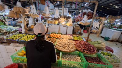 Inflasi Pangan Mencekik: Gaji Anda Terancam Lenyap 70%! 1 Inflasi Pangan Mencekik: Gaji Anda Terancam Lenyap 70%!
