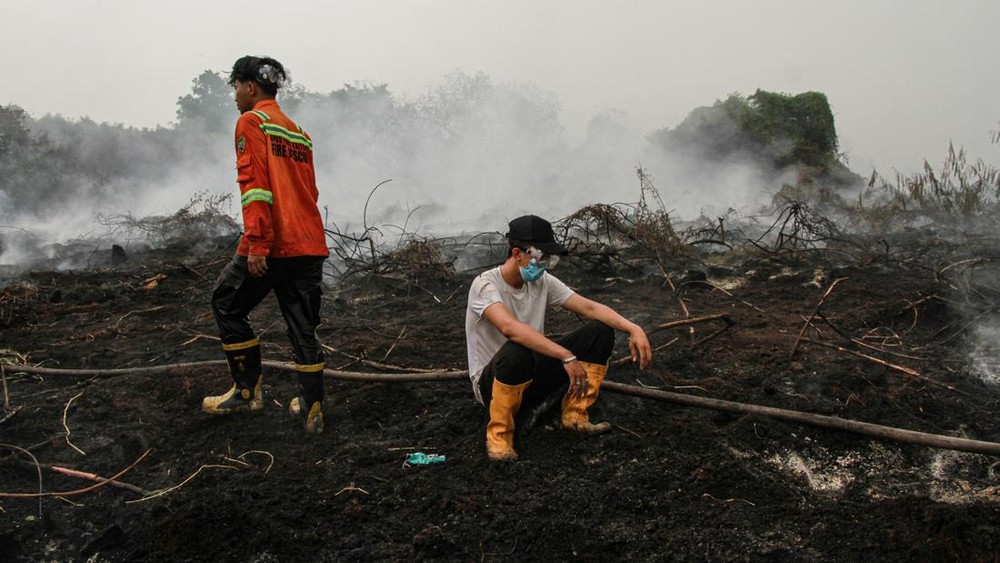 Kalimantan Tercekik Asap! Hotspot Karhutla Meroket! 1 Kalimantan Tercekik Asap! Hotspot Karhutla Meroket!